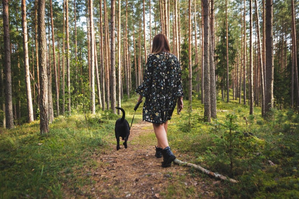 Valokuvassa nainen ulkoiluttaa koiraa metsässä.