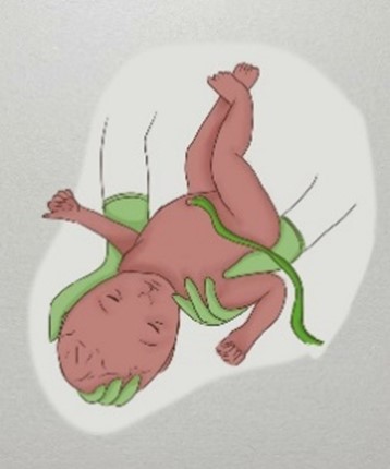 Piirretty kuva, jossa vauva ihmisen käsivarsilla.