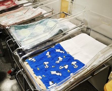 Valokuvassa vastasyntyneiden sänkyjä sairaalassa.