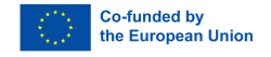 Co-funded by the European Union logo