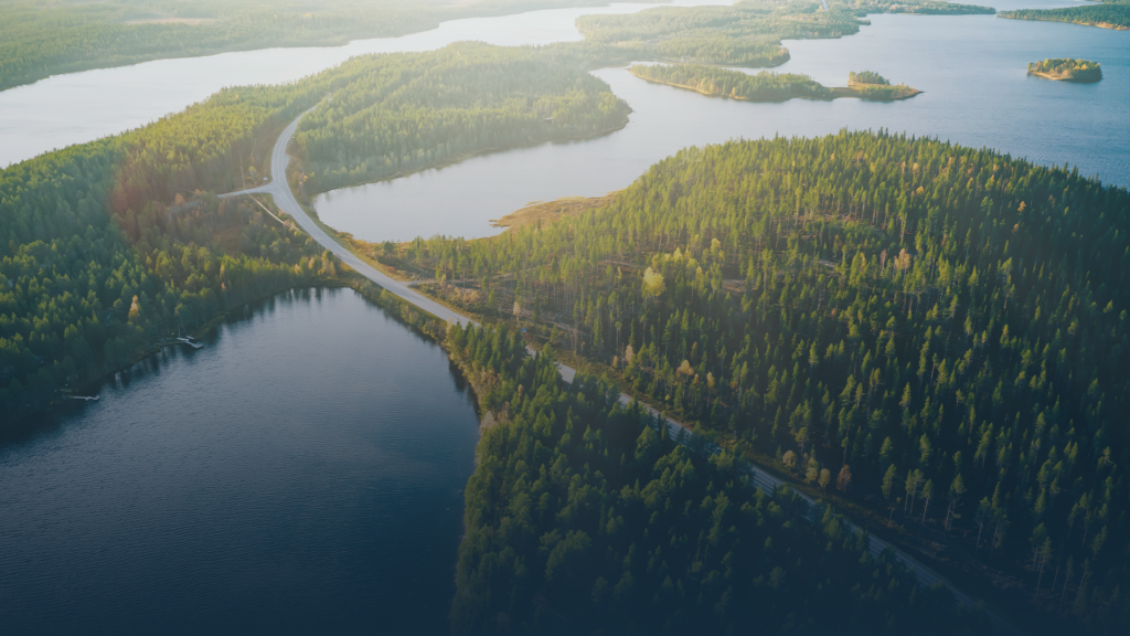 Vehreitä saaria järvimaisemassa kuvattuna ilmasta käsin.